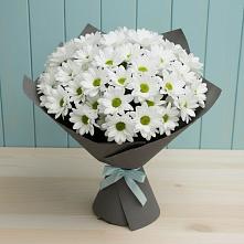 Букет цветов из:  Хризантемы в Погаре
