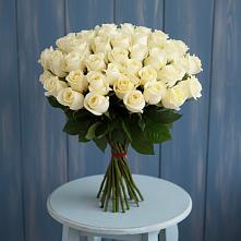 Букет 51 Белая роза Эдлесс Лав #REPLACE_PRED# Погаре