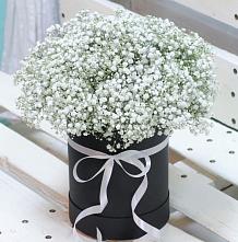 Цветочная композиция из Гипсофила в шляпной коробке #REPLACE_PRED# Погаре