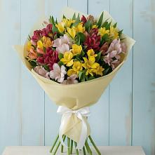 Букет цветов из:  Альстромерии #REPLACE_PRED# Погаре